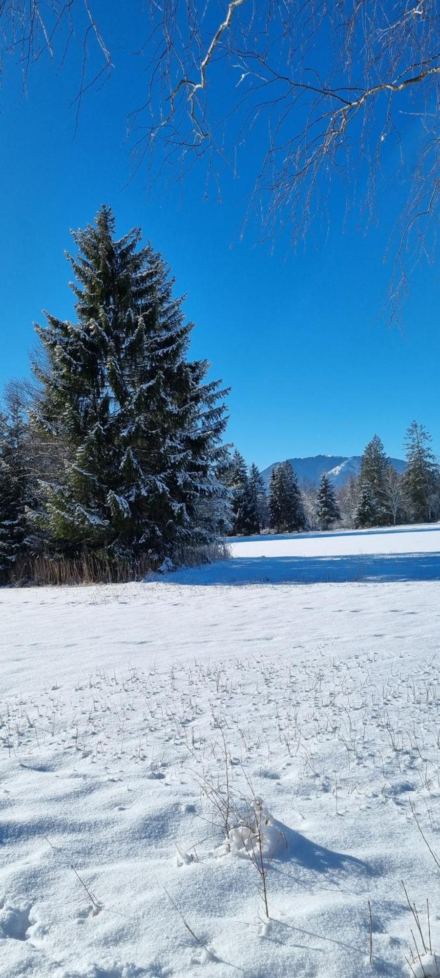 Boutique Hotel Angerer Murnau am Staffelsee Exterior foto