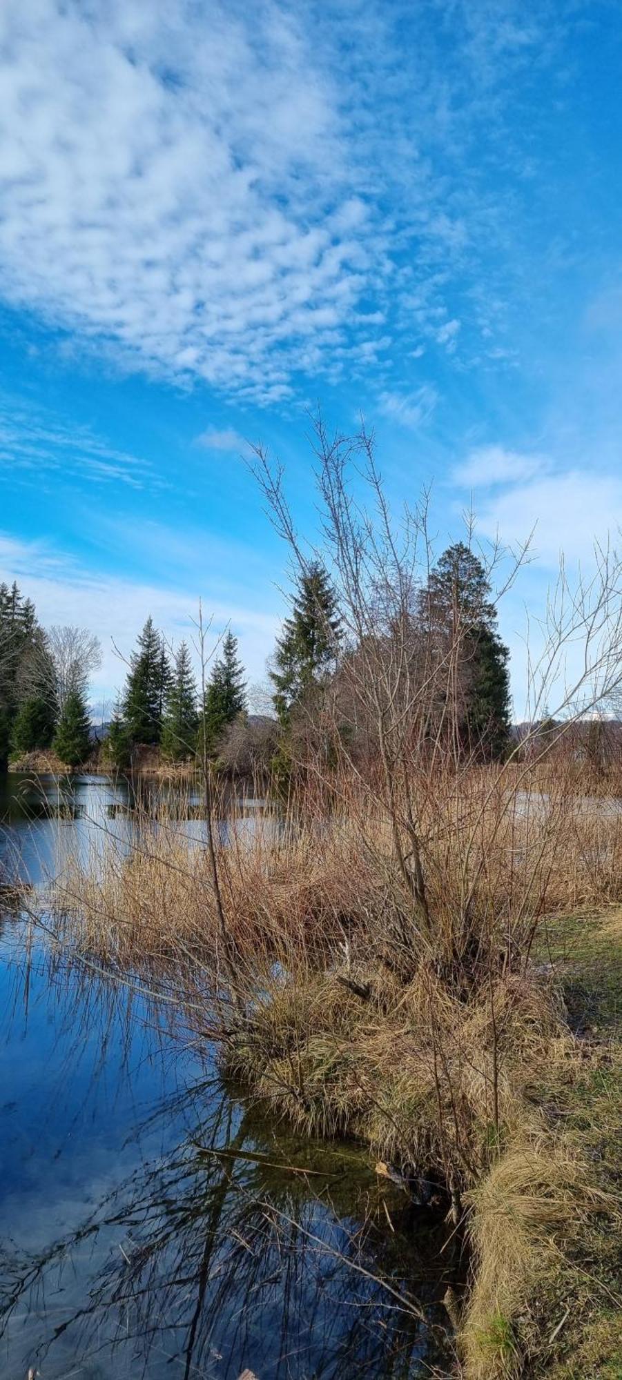 Boutique Hotel Angerer Murnau am Staffelsee Exterior foto